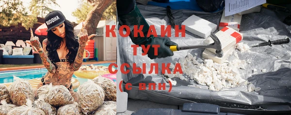 не бодяженный Ельня