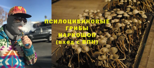 не бодяженный Ельня