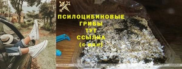 не бодяженный Ельня