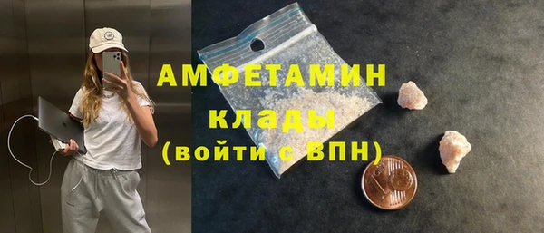 мет Елизово
