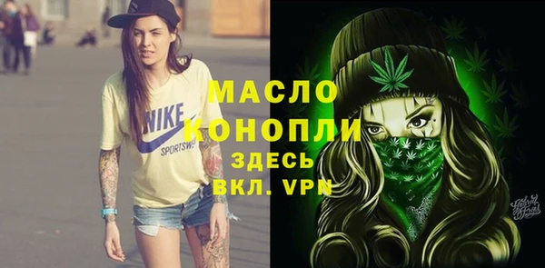 мет Елизово